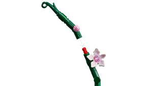 Lego - Orchidée - 10311 - Tiges du modèle