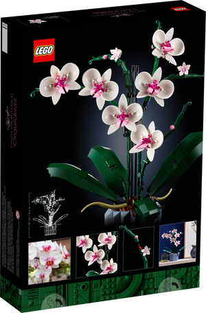 Lego - Orchidée - 10311 - Dos de la boîte