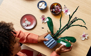 Lego - Orchidée - 10311 - Personne entrain de construire le modèle