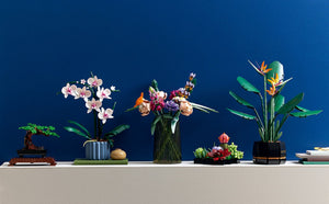 Lego - Orchidée - 10311 - Tous les modèles de la série botanique