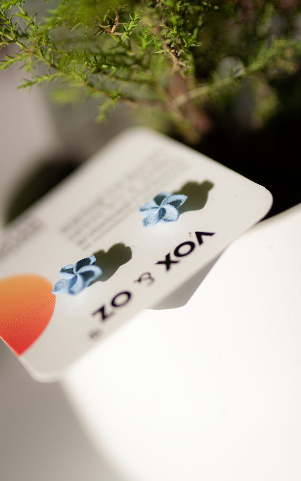 Vox & Oz - Puces d'oreilles Ohana