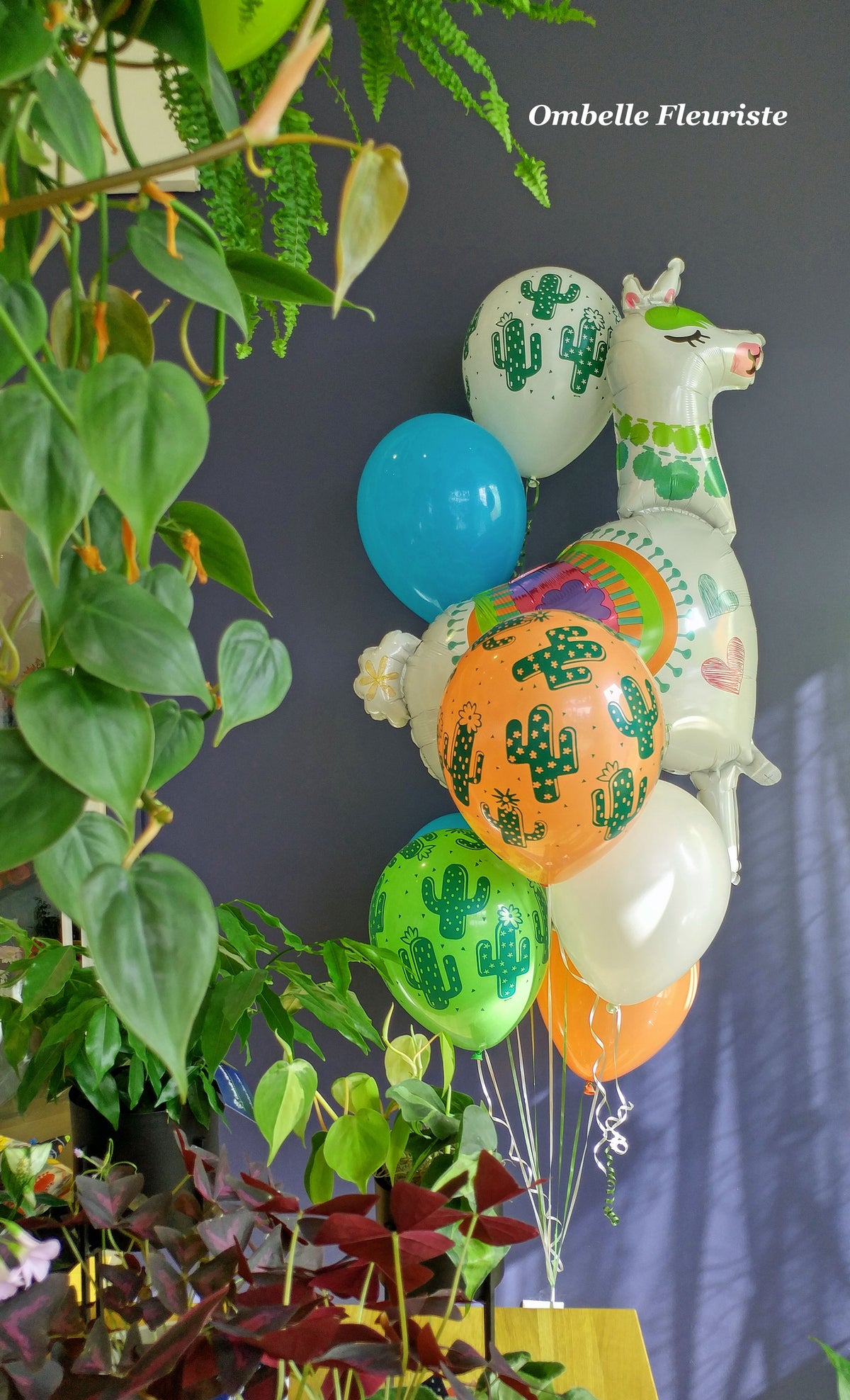 Ombelle Fleuriste - Bouquet de ballons - Fiesta Lama - BAL-1004